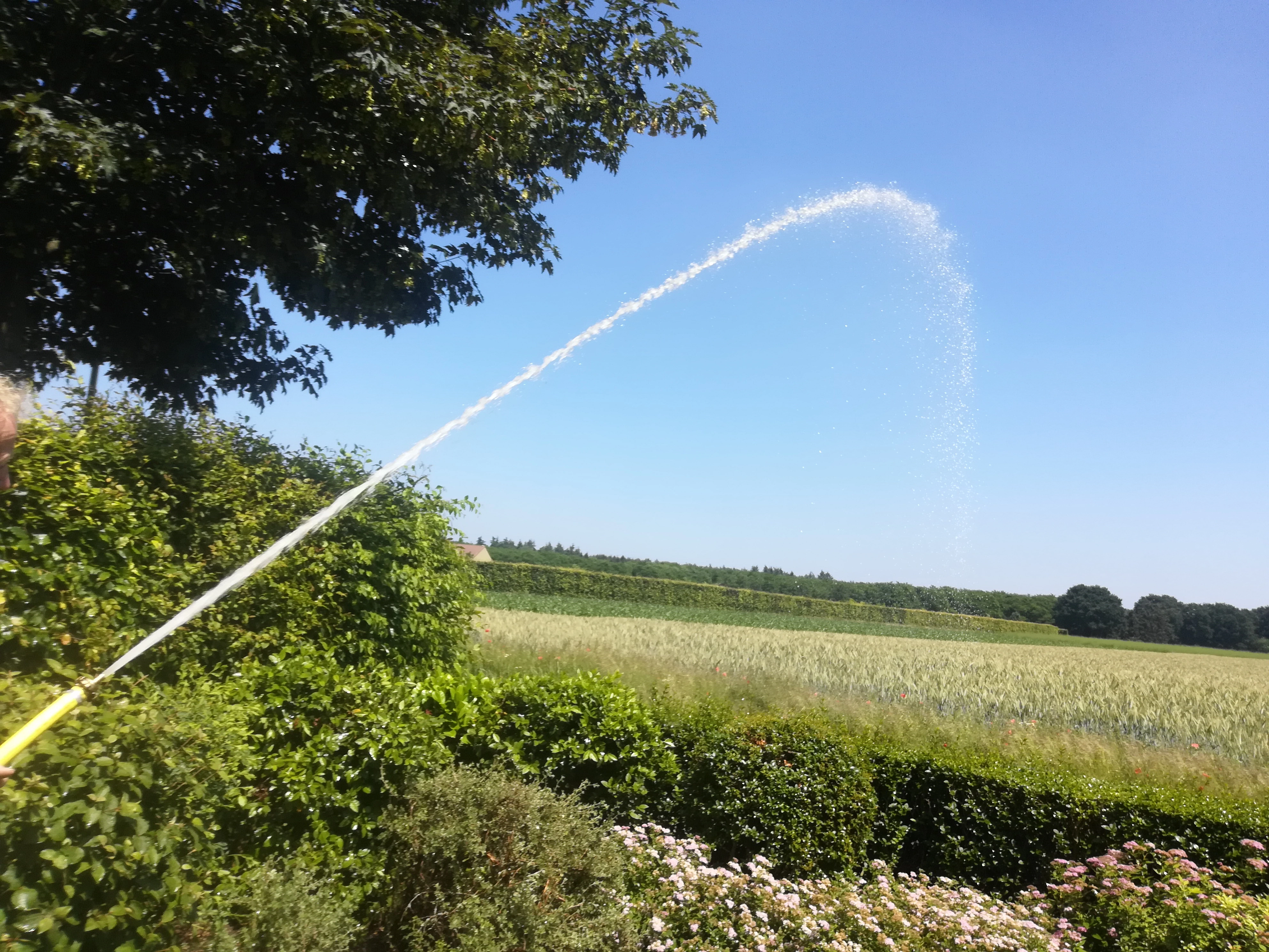 Gartenbewässerung mit Grundwasser aus eigenem Brunnen